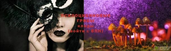 гидра Кулебаки
