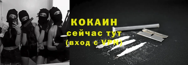 гидра Кулебаки