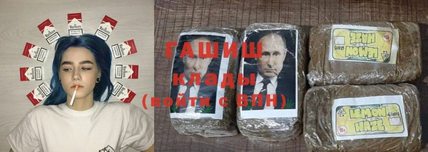гидра Кулебаки