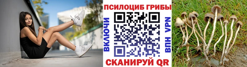 Псилоцибиновые грибы MAGIC MUSHROOMS нарко площадка Telegram Юрга