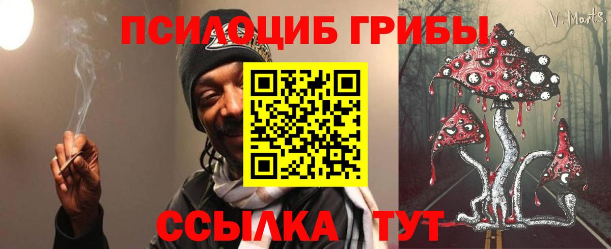 Псилоцибиновые грибы прущие грибы  Псилоцибиновые грибы прущие грибы  Юрга  Вход с VPN 